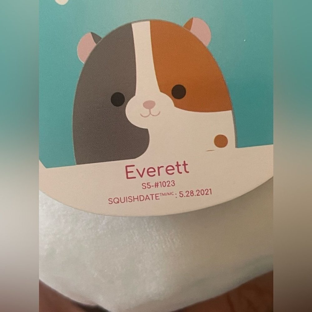 Squishmallows Everett 5 inch plush​ - Picture 4 of 6